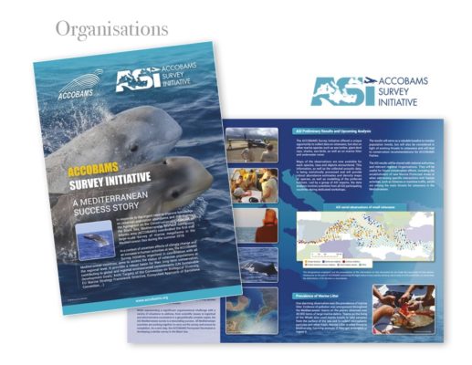 Création Brochures et logos Monaco