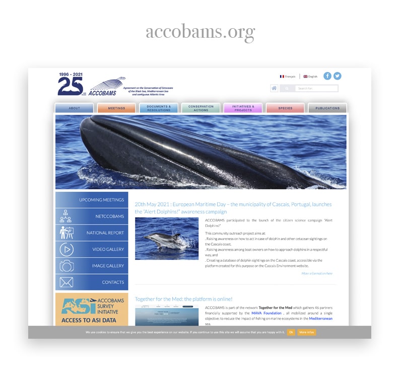 site association ou organisation